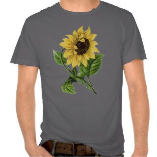 Vintage Botanicals Dandy Sunflower T Shirts