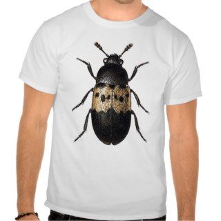 Larder Beetle Shirts