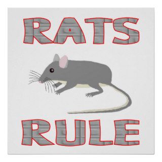 RATS RULE Poster