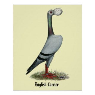 Carrier Pigeon 2012 Print