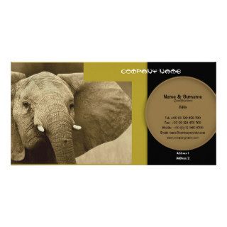 Business card profile elephant safari customizable customized photo card