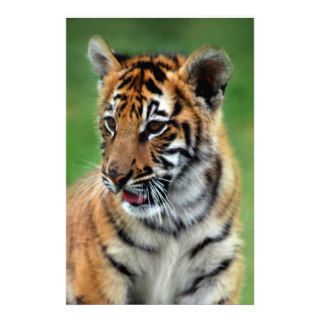 A cute baby tiger customized stationery