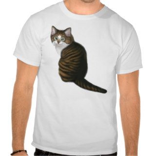 Maine Coon Kitten T Shirt