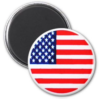 USA Flag Circle Tdhe MUSEUM Refrigerator Magnets