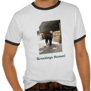 Greetings Human alpaca shirt