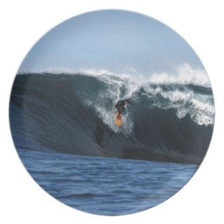 Extreme big wave surfing New Zealand Plates