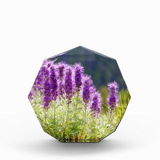 Purple Flowers Acrylic Award