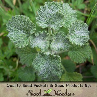 50 Seeds, Horehound Herb (Marrubium vulgare) Packaged By Seed Needs  Herb Plants  Patio, Lawn & Garden
