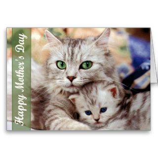 Mother's Day Cat and Kitten Cards