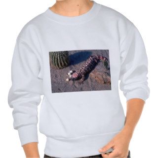 Gila Monster Lizard eating Desert Quail eggs Pullover Sweatshirt