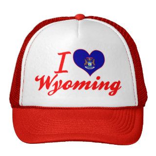 I Love Wyoming, Michigan Hat
