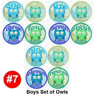 BOYS OWLS Baby Month Onesie Stickers Baby Shower Gift Photo Shower Stickers, baby shower gift by OnesieStickers  Baby Keepsake Products  Baby