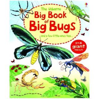 The Usborne Big Book of Big Bugs And a Few Little Ones Too Emily Bone Usborne Publishing Ltd 9780794533007 Books