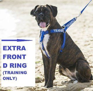 "TRAINING" Blue Color Coded Non pull Dog Harness With Extra Front 'D' Ring (Do Not Disturb) PREVENTS Accidents By Warning Others of Your Dog in Advance  Pet Halter Harnesses 