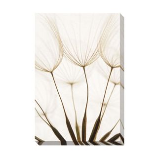 Dandelion Seeds I Oversized Gallery Wrapped Canvas Canvas