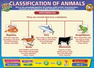 This Comprehensive Pc/Mac Ready Interactive Whiteboard Chart Provides An Overview Of The Different Vertebrates And Invertebrates And Their Associated Characteristics   Science Interactive Whiteboard Chart   Classification of Animals  