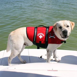 Paws Aboard Neoprene Doggy Red Life Jacket Pet Accessories