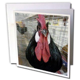 gc_13990_1 Florene Nature n Animals   Proud Rooster   Greeting Cards 6 Greeting Cards with envelopes 