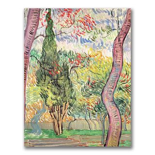 Vincent Van Gogh 'The Garden of St. Pauls Hospital' Canvas Art Trademark Fine Art Canvas