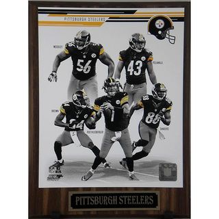 Pittsburgh Steelers 2013 Plaque Football
