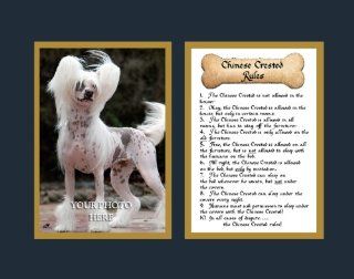 Dog Rules Chinese Crested Wall Decor Pet Saying Dog Saying   Decorative Plaques