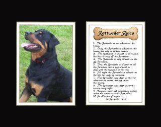 Dog Rules Rottweiler Wall Decor Pet Saying Dog Saying   Decorative Plaques