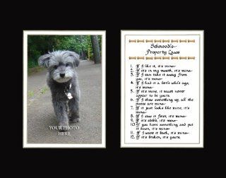 Schnoodle Property Laws Wall Decor Humorous Pet Dog Saying Gift   Decorative Plaques