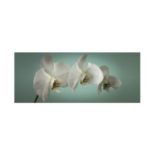 Graham & Brown Graham and Brown Teal Orchid Photographic Print on Canvas 40 615
