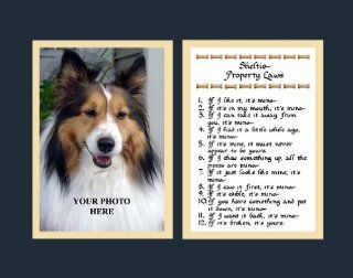 Sheltie Property Laws Wall Decor Pet Saying Dog Saying Sheltie Saying   Decorative Plaques