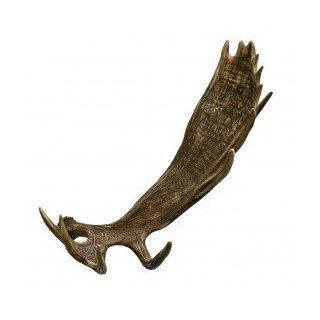 Moose Shed Antler Individual   Plaques