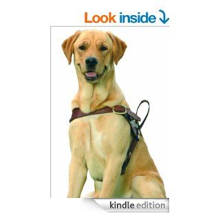 Service Dogs Says Who? [Dogs and other animals are being trained to assist people with disabilities. Shouldn't they be certified by somebody and carry identification?] eBook Mandy Stadtmiller Kindle Store