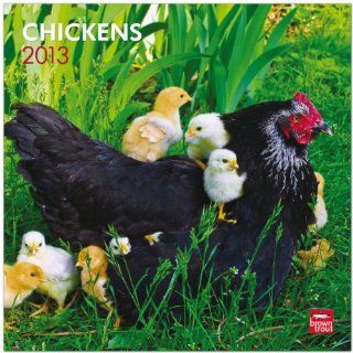Chickens 2013   Hhner   Original BrownTrout Kalender BrownTrout Kalender bei Strtz Bücher