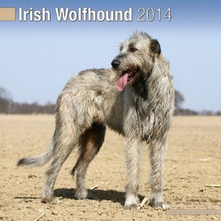 Kalender 2014 Irischer Wolfshund   Irish Wolfhound + kostenlose Weihnachtskarte Haustier