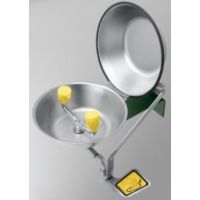 Speakman SE 490 CV Stainless Steel Traditional Series Round Bowl Eye/Face Wash S