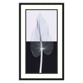 Calla Leaf II Framed Wall Art by Steven N. Meyers   17.02W x 29.02H in.   Wall Art