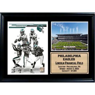 2013 Philadelphia Eagles 12x18 Photo Stat Frame