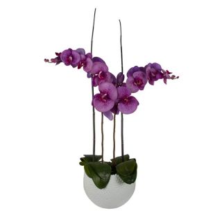 Eloise Life like Floral Arrangement with Lavender Phalaenopsis Orchids