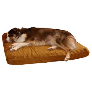 PAW Orthopedic Super Foam Pet Bed   Dog Beds