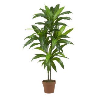 Dracaena Real Touch Silk Plant   13549671   Shopping