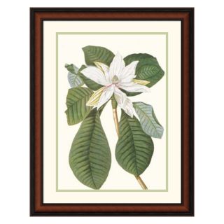 Magnolia Folis Oblongis Framed Wall Art   21.02W x 28.02H in.