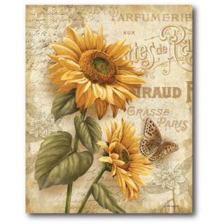 Courtside Market Farmhouse Canvas Country Flowers II Gallery Wrapped