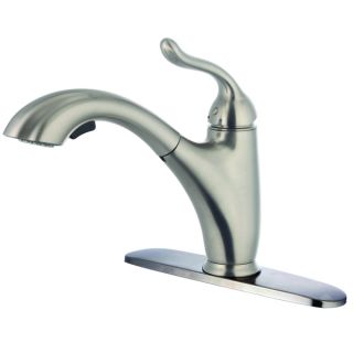 Pull out Single Handle Kitchen Faucet with 2 foot Extended Hose