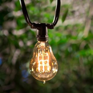 Bulbrite STRING15/E12 25 ft. Outdoor String Light with Vintage Edison Bulbs   Outdoor Hanging Lights