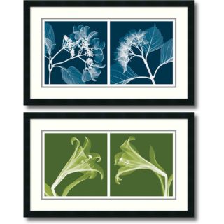 Steven N. Meyers Lilies & Hydrangeas (Negative)  set of 2 Framed Art