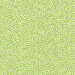 8 in. W x 10 in. H Sassy Green Cheetah Print Wallpaper Sample 443 62506SAM