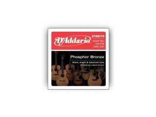 D'Addario EPBB170 Phosphor Bronze Acoustic Bass Strings, Long Scale, 45 100