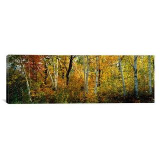 iCanvas Panoramic Lac Du Flambeau Wisconsin Photographic Print on Canvas