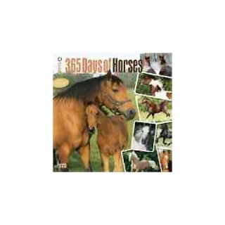 365 Days of Horses 18 Month 2015 Calendar