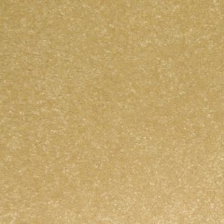 STAINMASTER Spring Creek Dusted Sand Cut Pile Indoor Carpet
