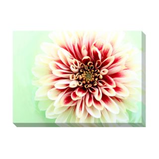 Pink Blossoms Oversized Gallery Wrapped Canvas